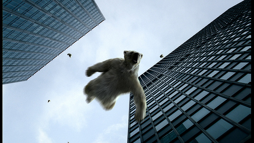 Plane Stupid - Polar Bear