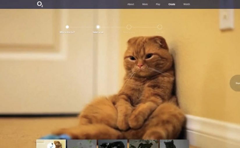 A cat behaving like a dog in O2 UK’s Be More Dog campaign.