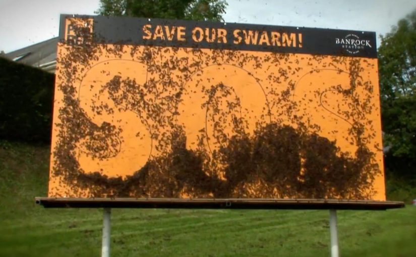 Banrock Station: 100K Live Bees Billboard