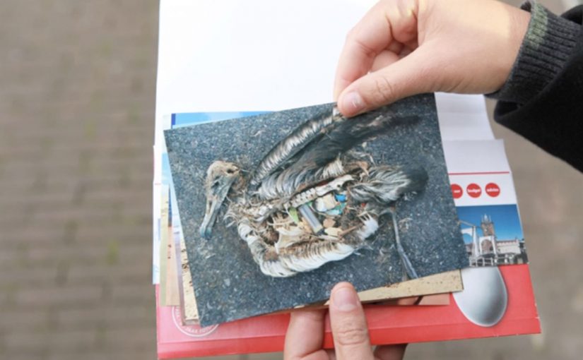 Festival visitors view large-scale BredaPhoto installations in Breda, Netherlands.