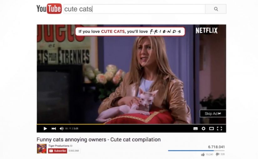 Netflix: The Friendly Pre-Roll Campaign