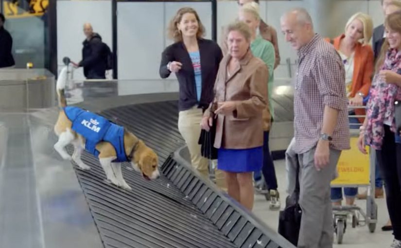 KLM: Lost & Found Service Dog