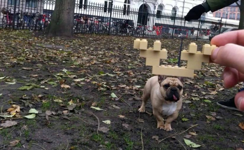 LEGO: Happy Holiplay