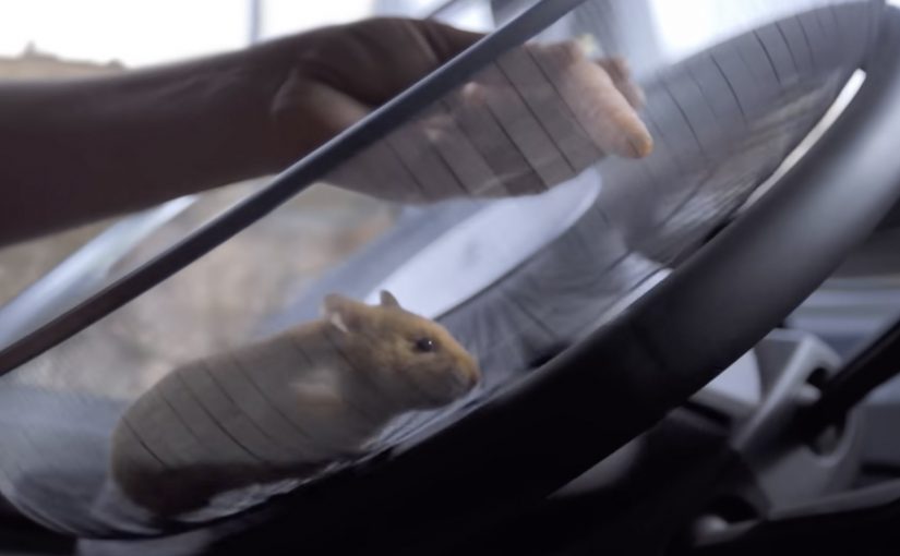 Volvo Trucks: The Hamster Stunt
